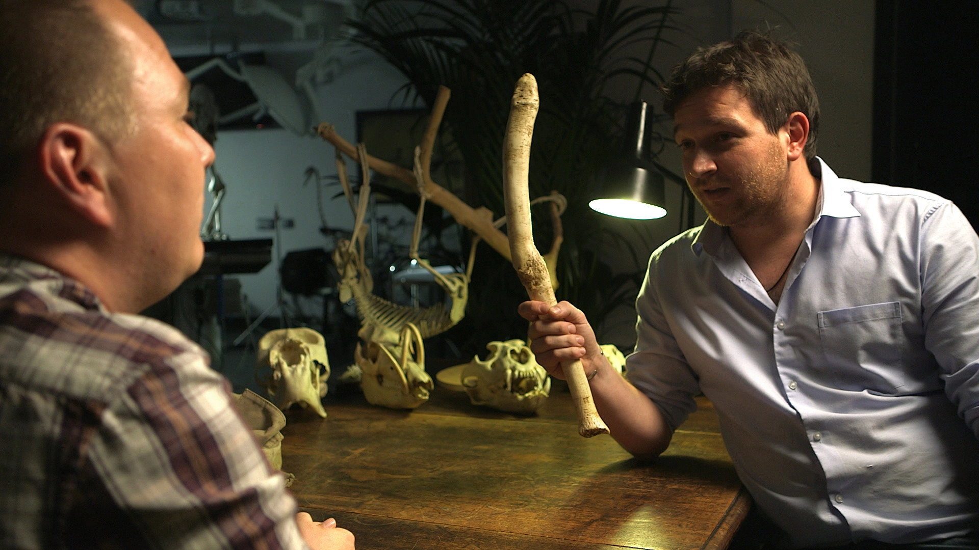 Secrets of Bones