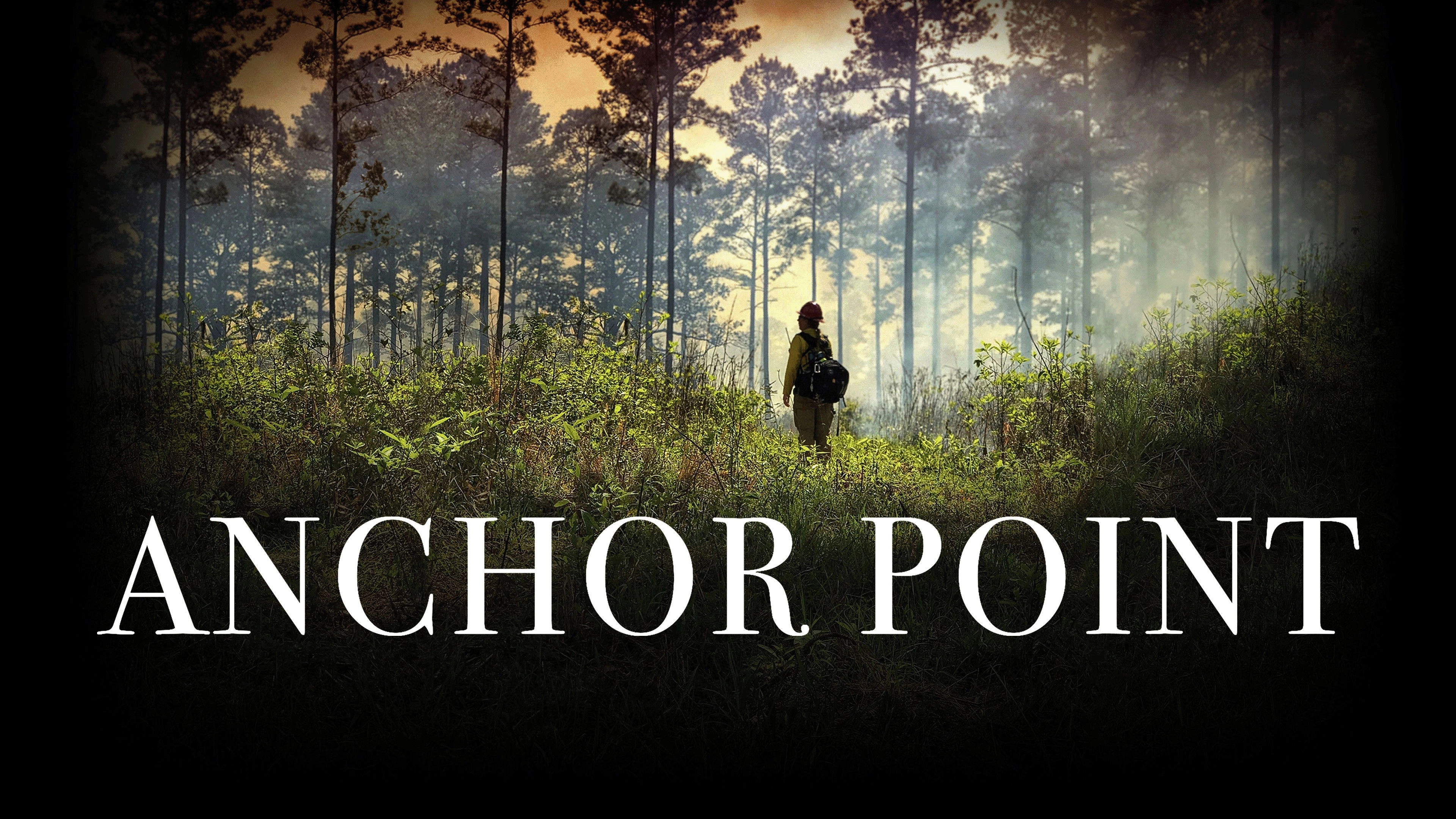 Anchor Point