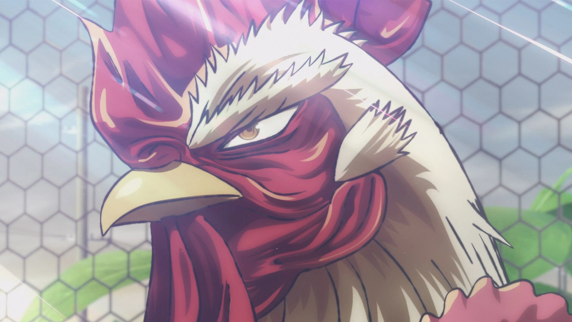Rooster Fighter