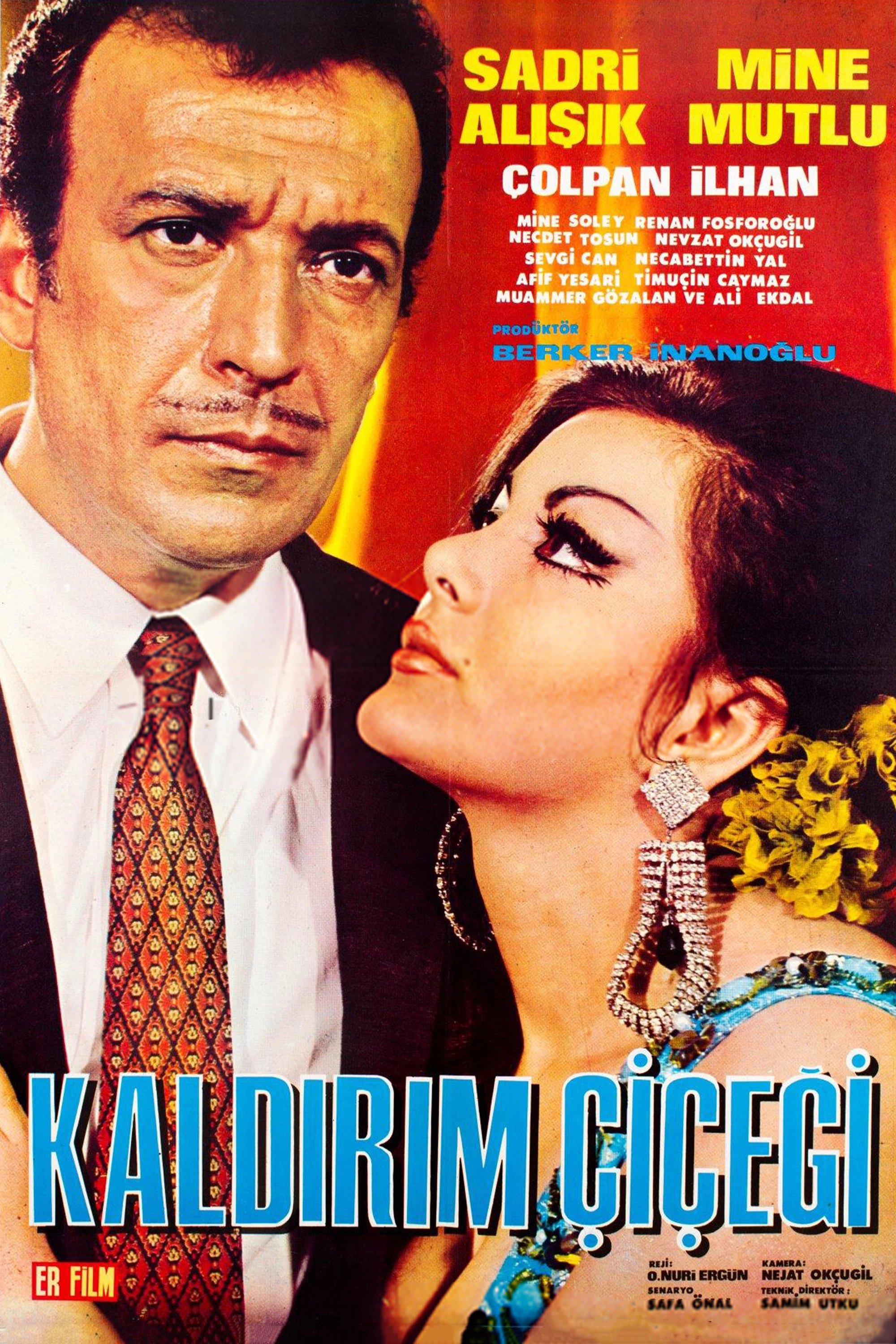 Kaldırım Çiçeği