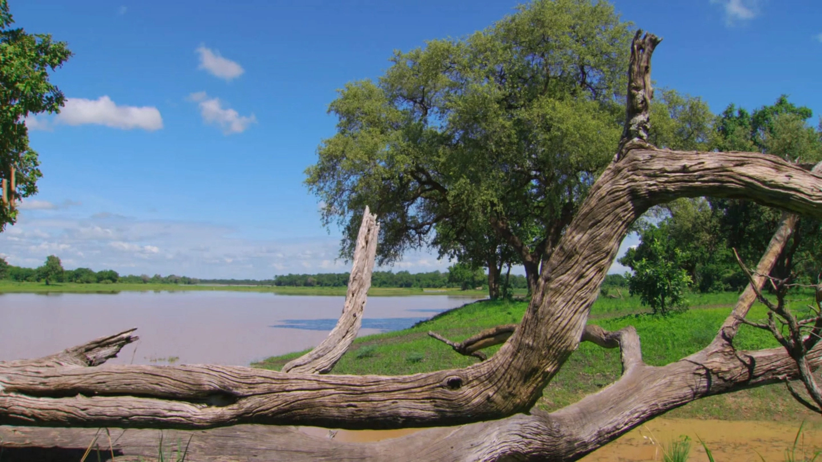 Africa River Wild