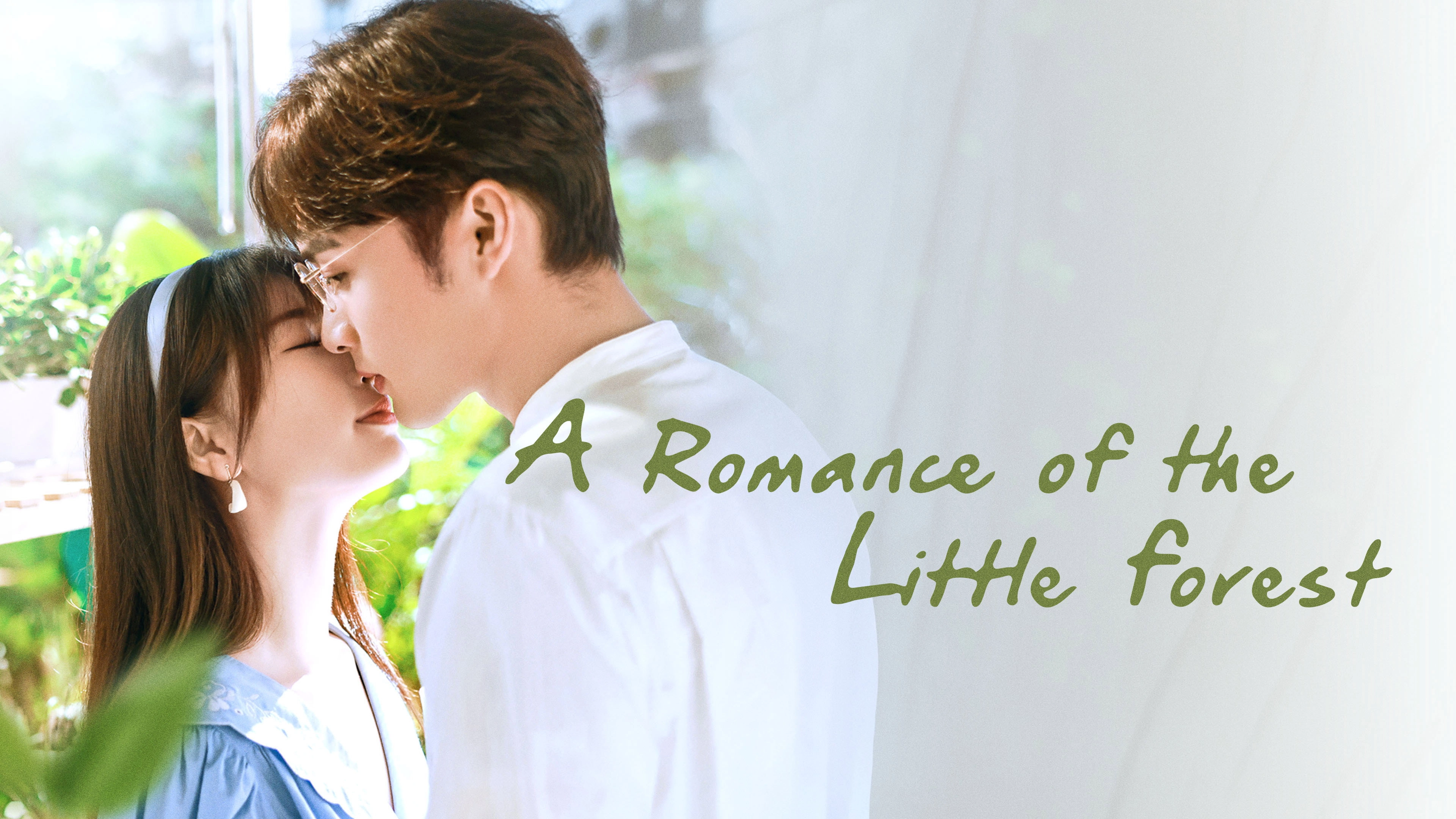 A Romance of the Little Forest