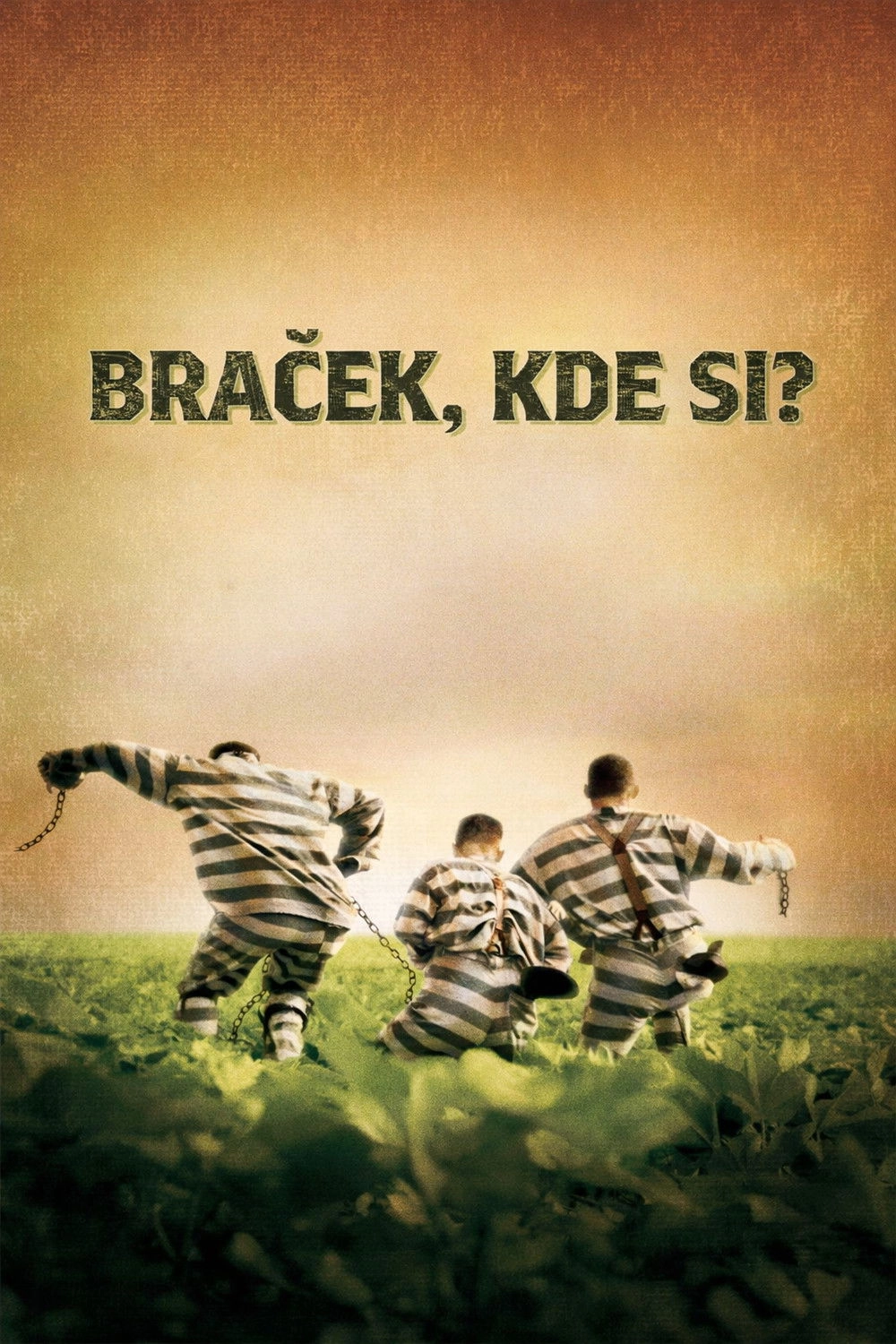 Lolz-ita