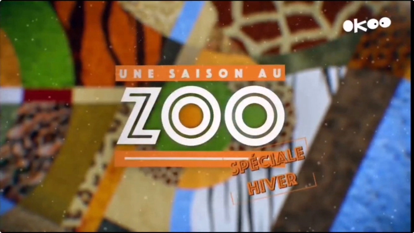 Une saison au zoo