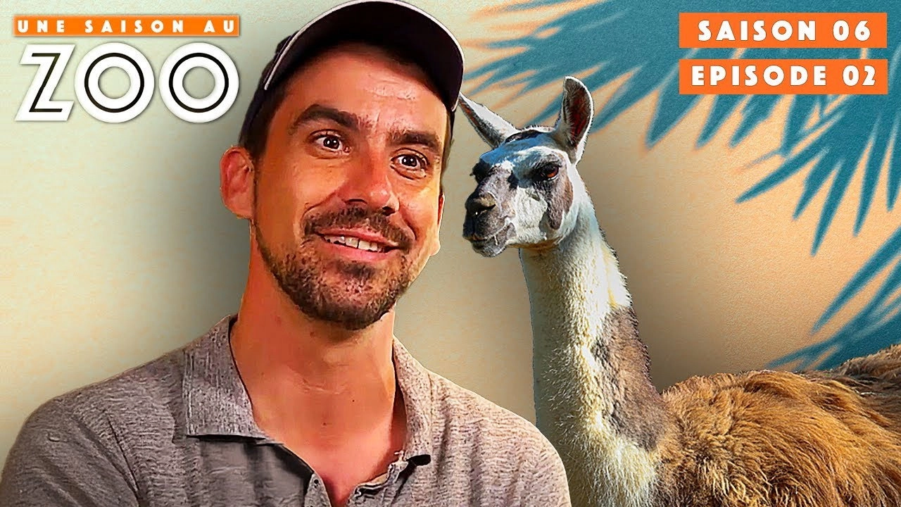 Une saison au zoo