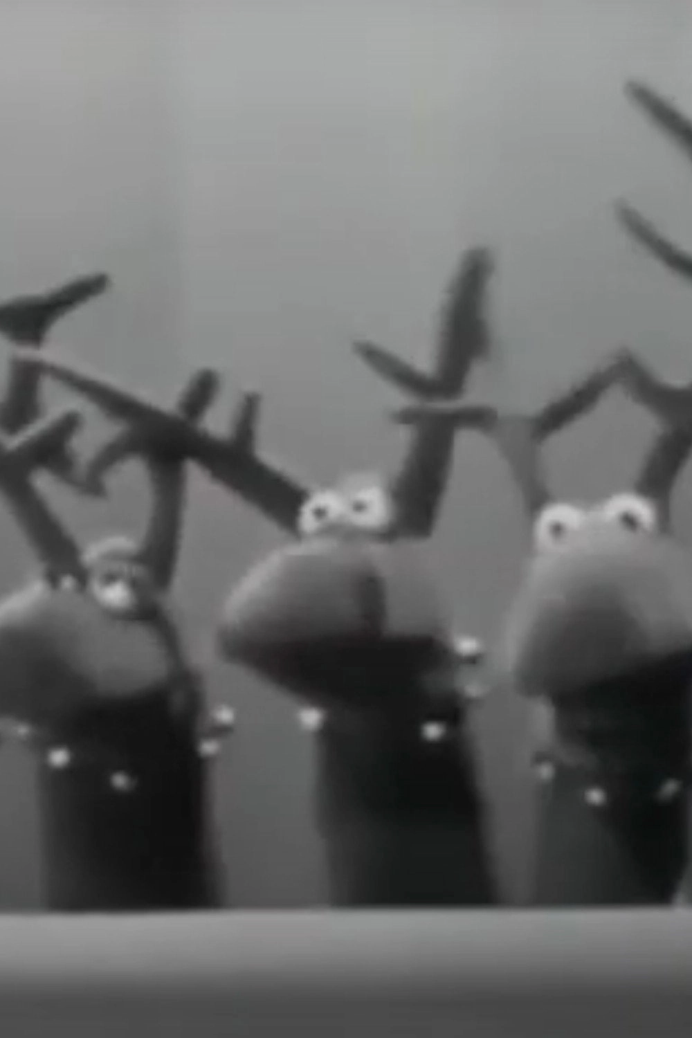 The Reindeer