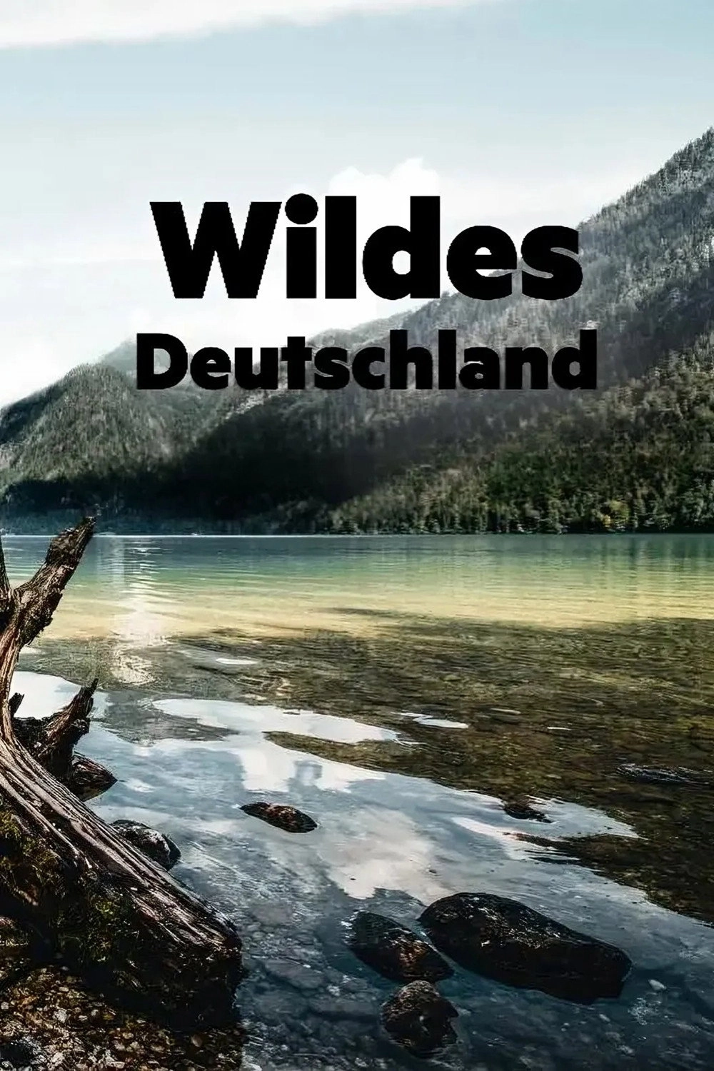 Wild Germany