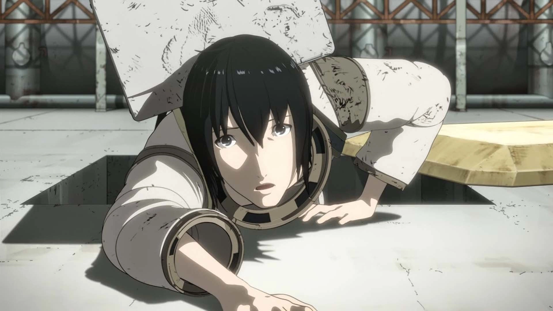 Knights of Sidonia