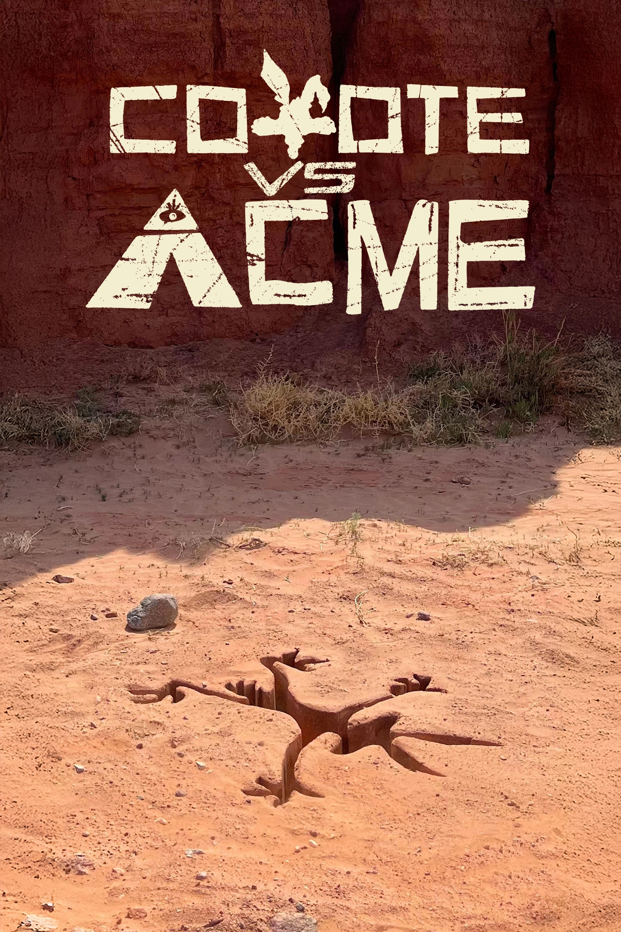 Coyote vs ACME