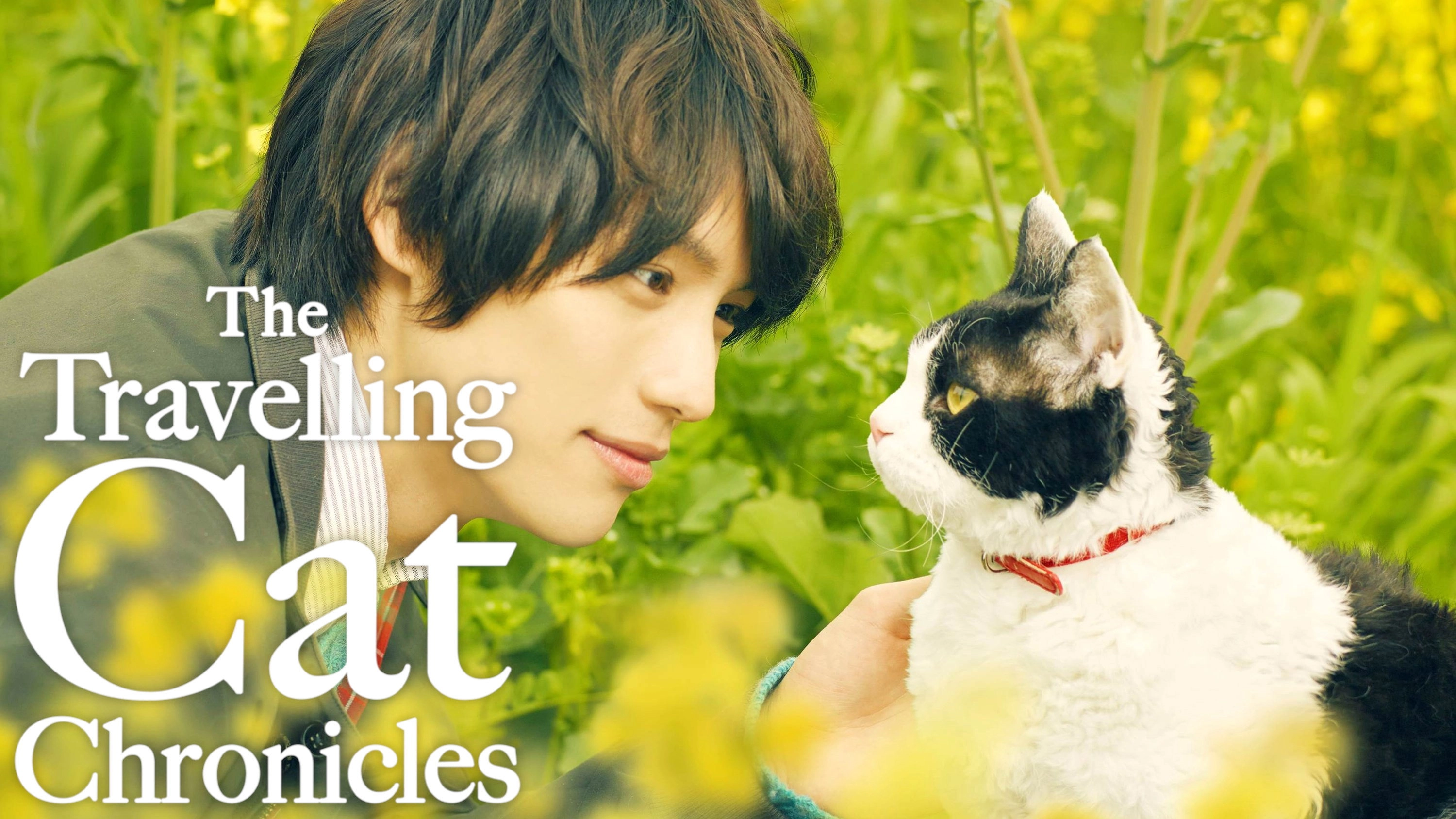 The Travelling Cat Chronicles