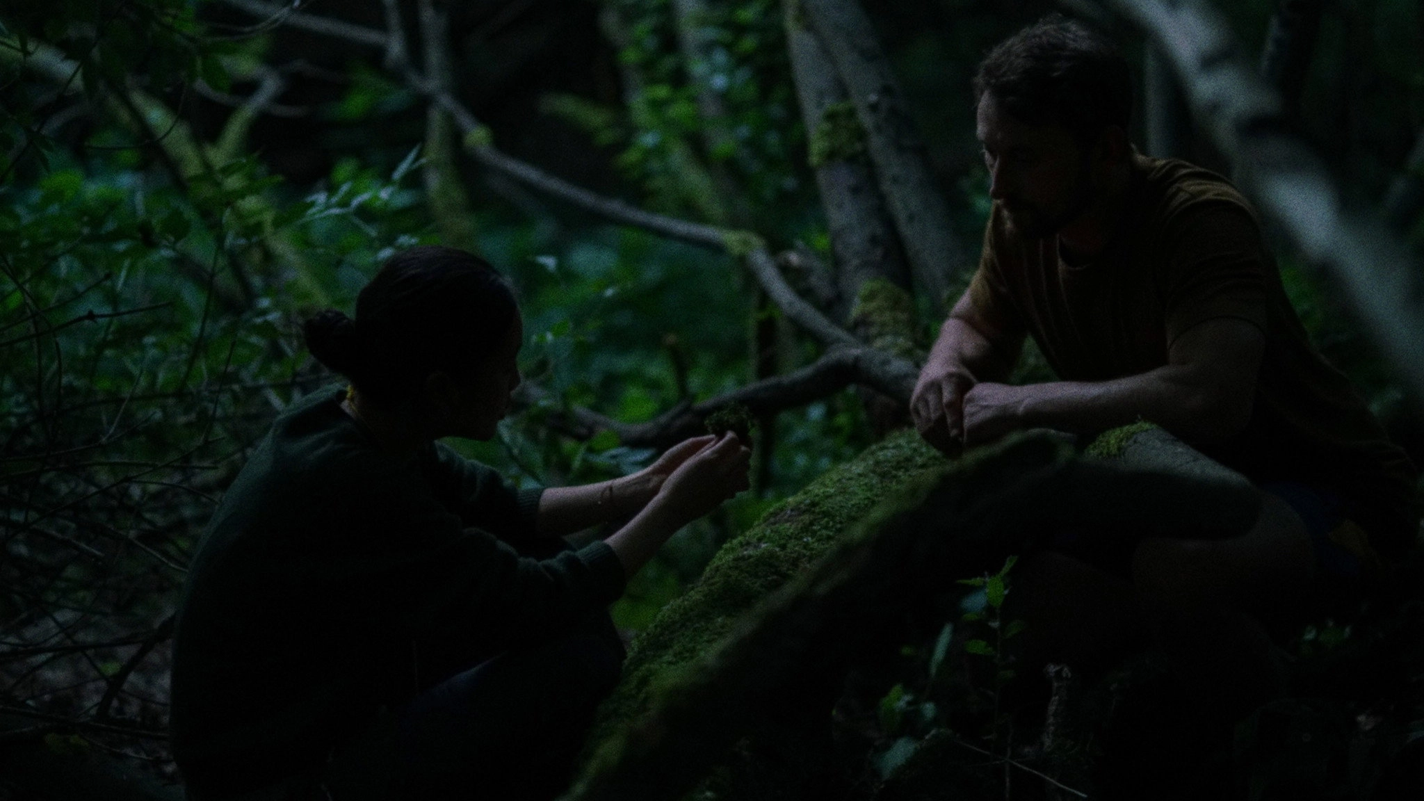 The Actor The Liar The Murderer