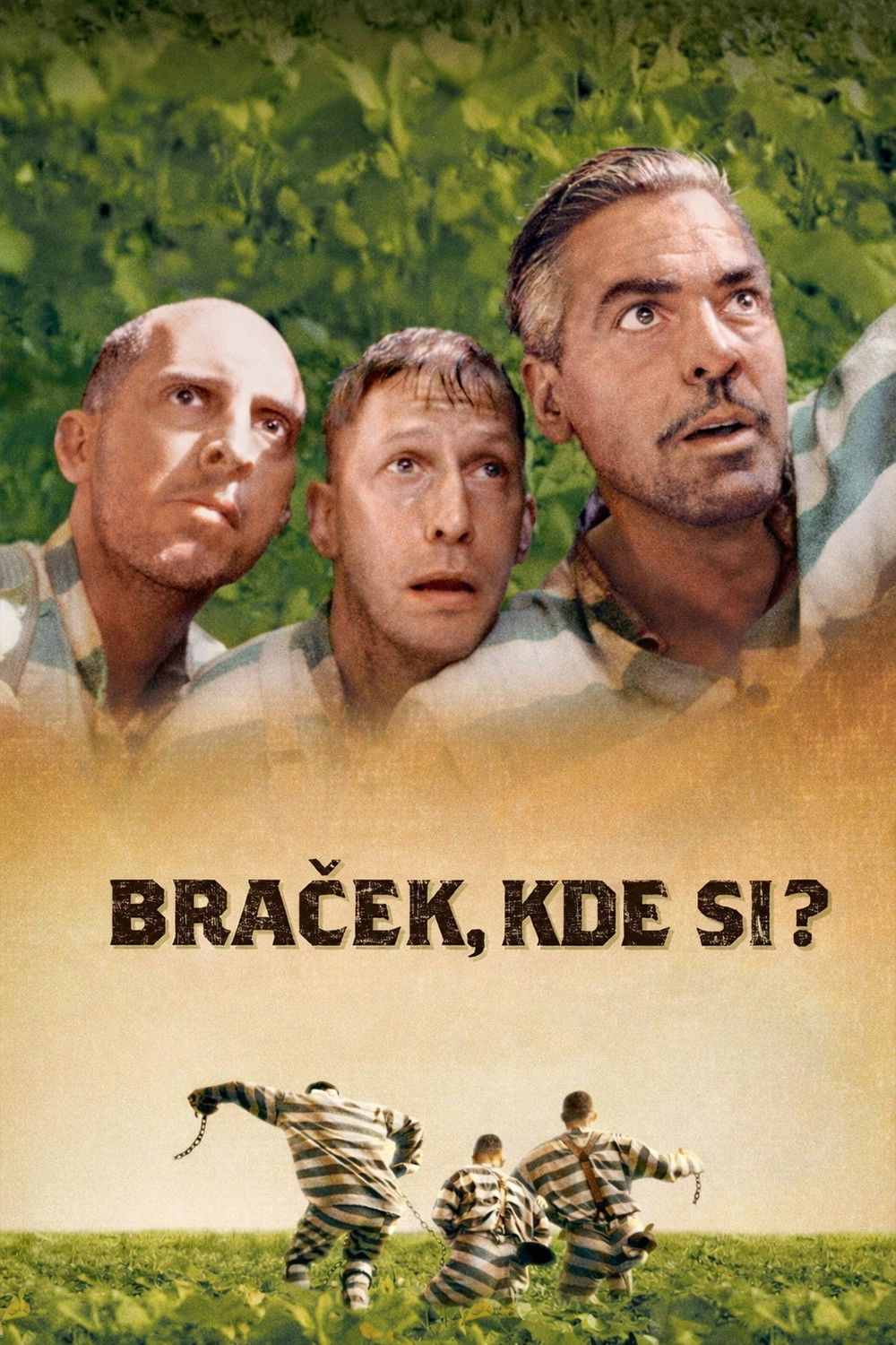 Lolz-ita