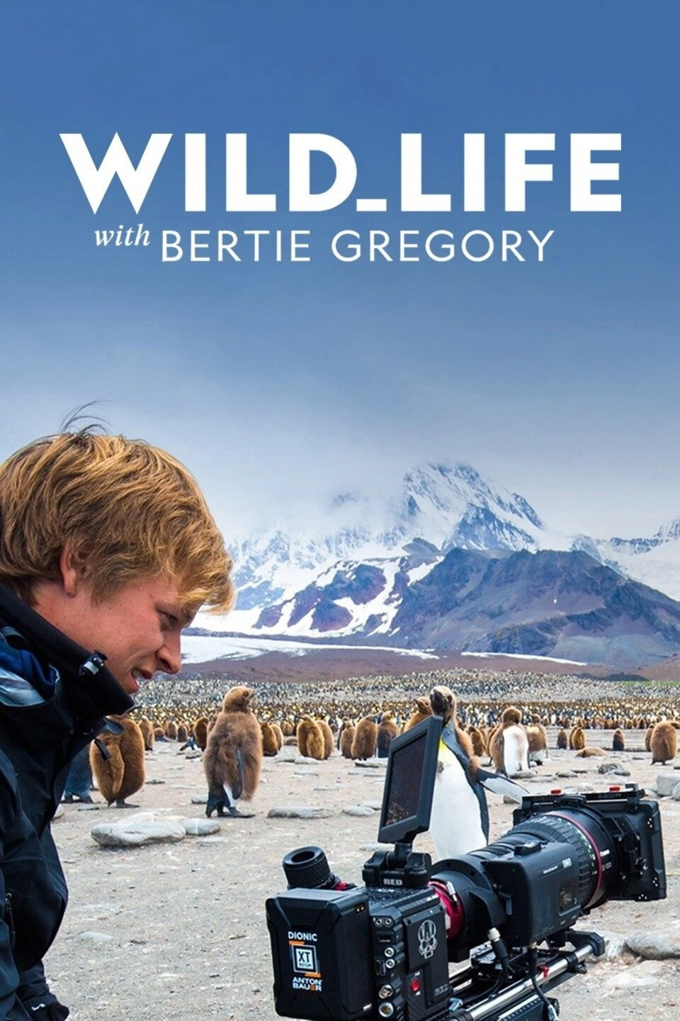 Wild Life with Bertie Gregory