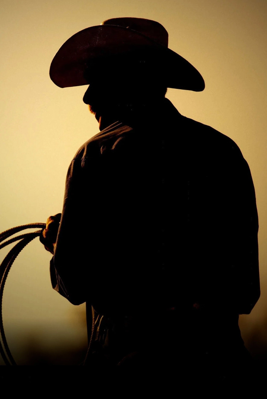 The Last Rodeo