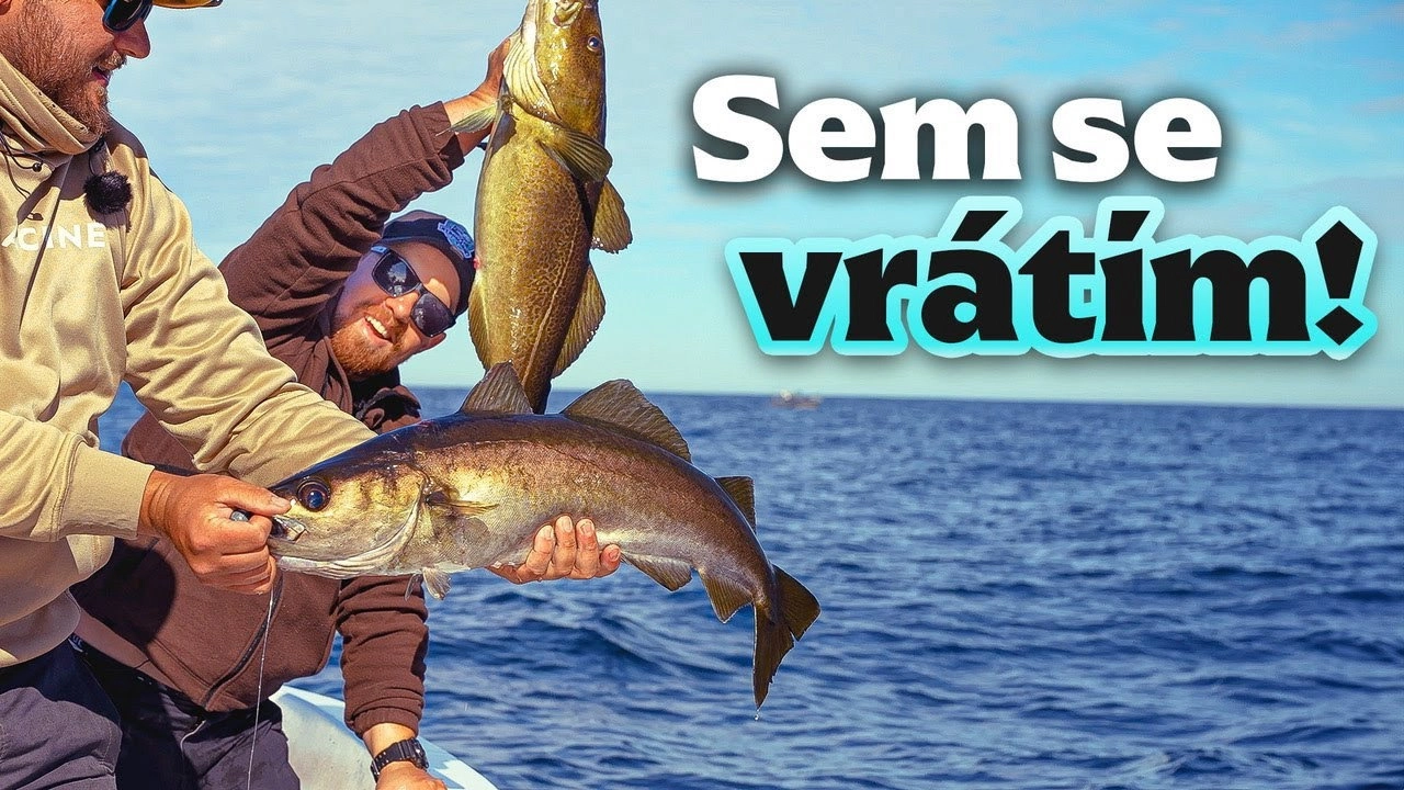 Rybománie