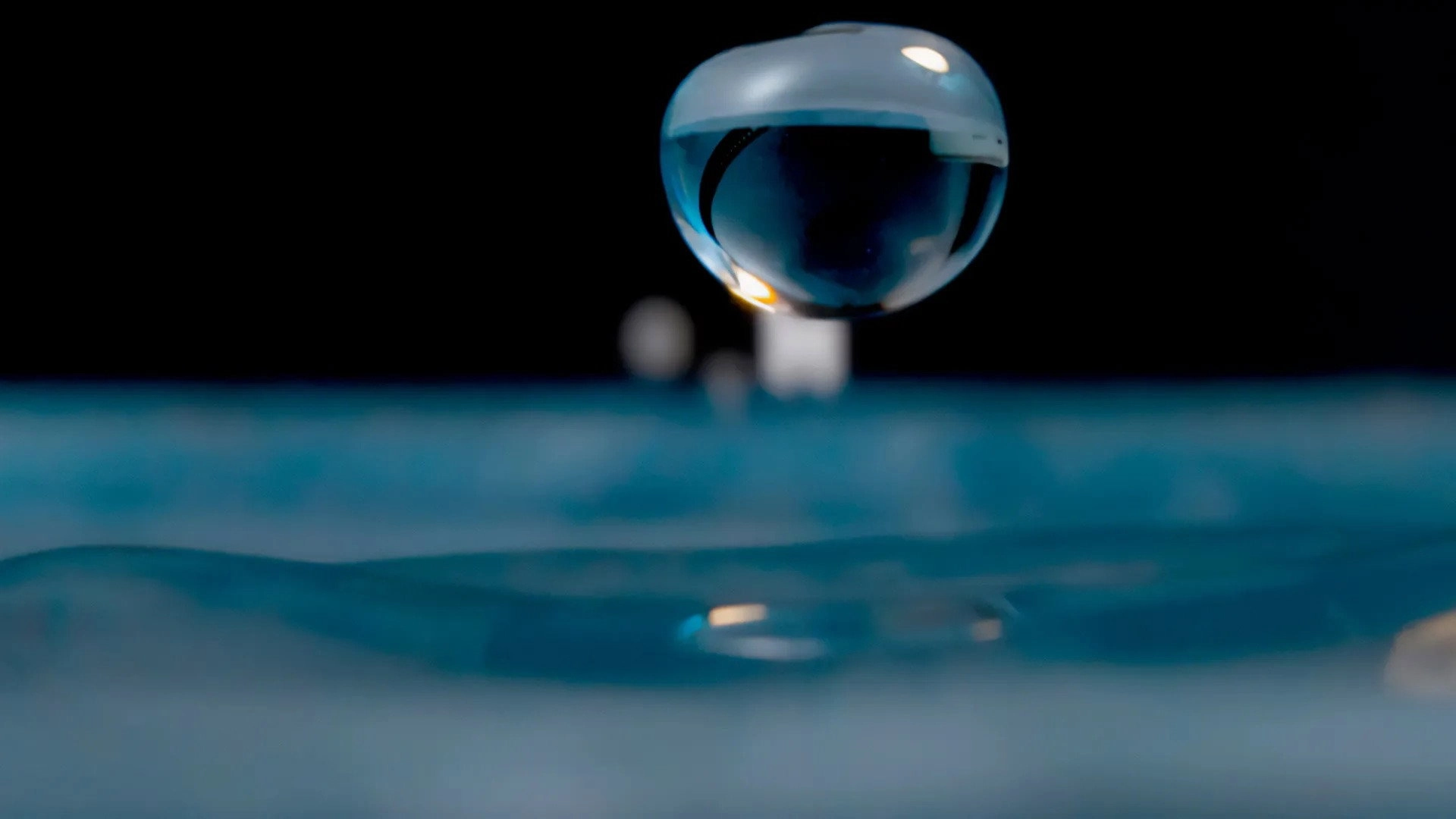 H2O: The Molecule that Made Us