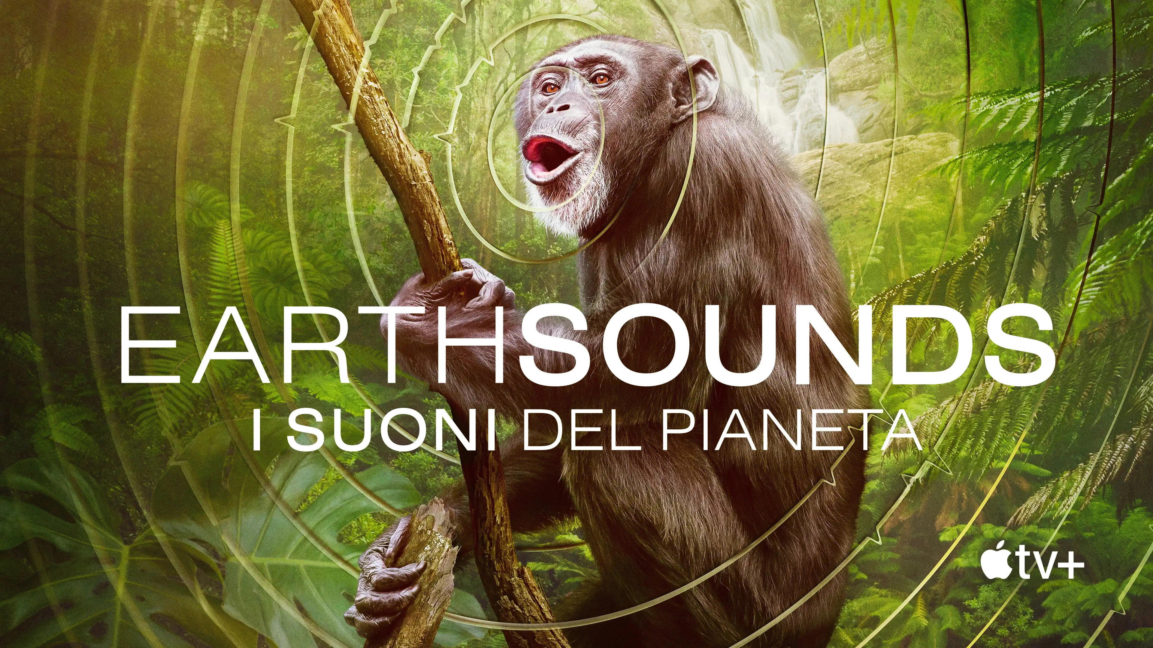 Earthsounds