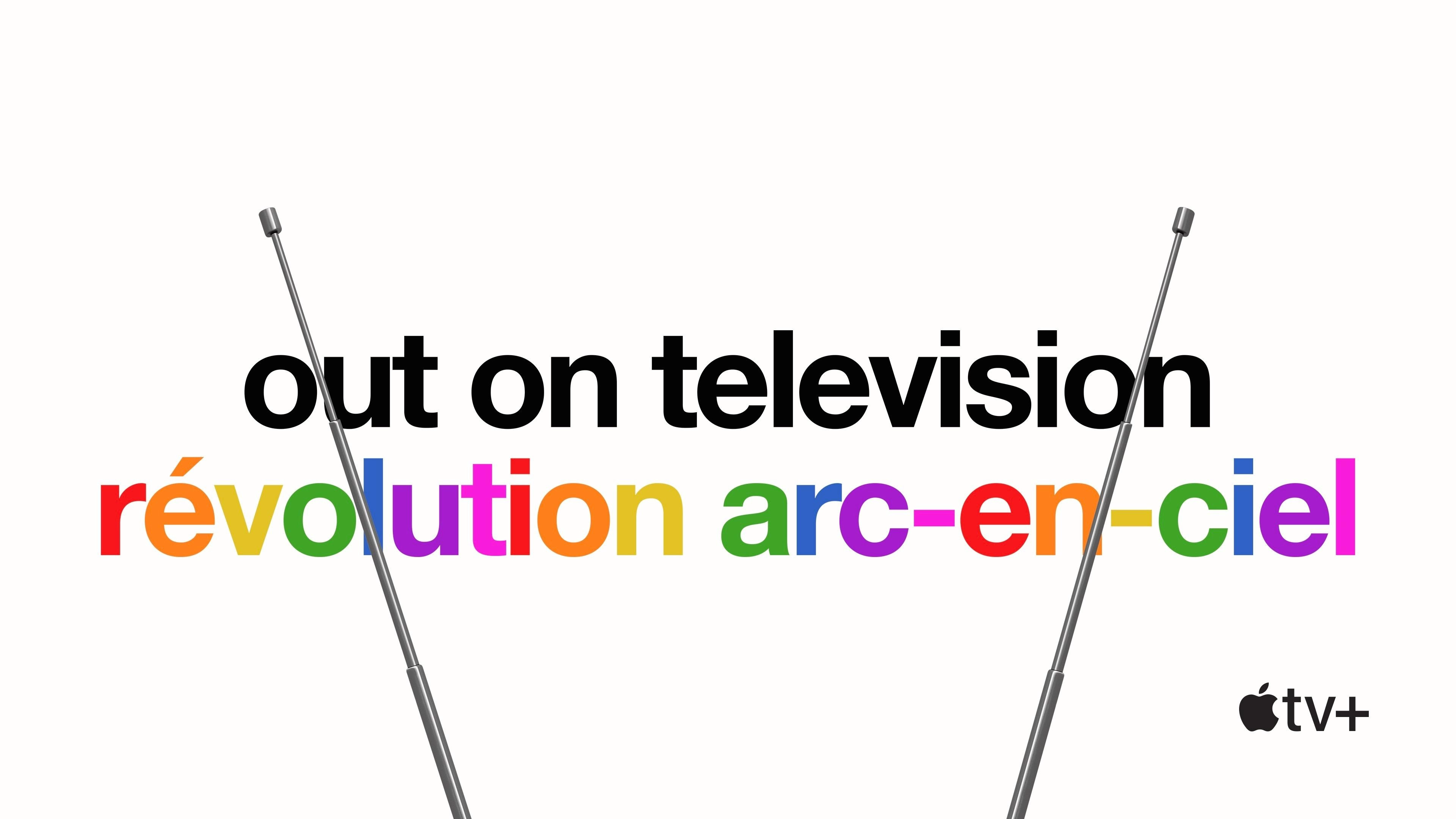 Visible: Out on Television