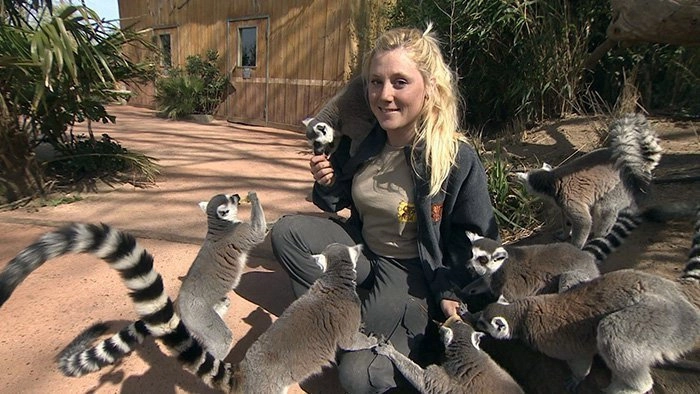 Une saison au zoo