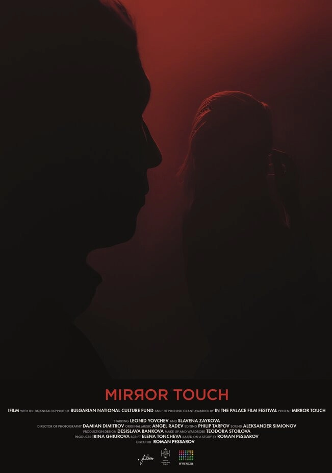 Mirror Touch