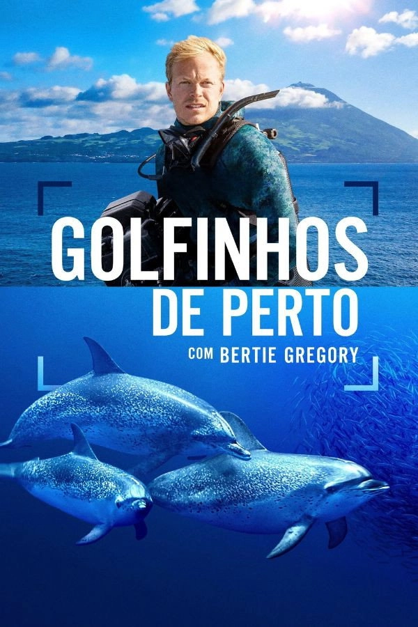 Dolphins Up Close with Bertie Gregory