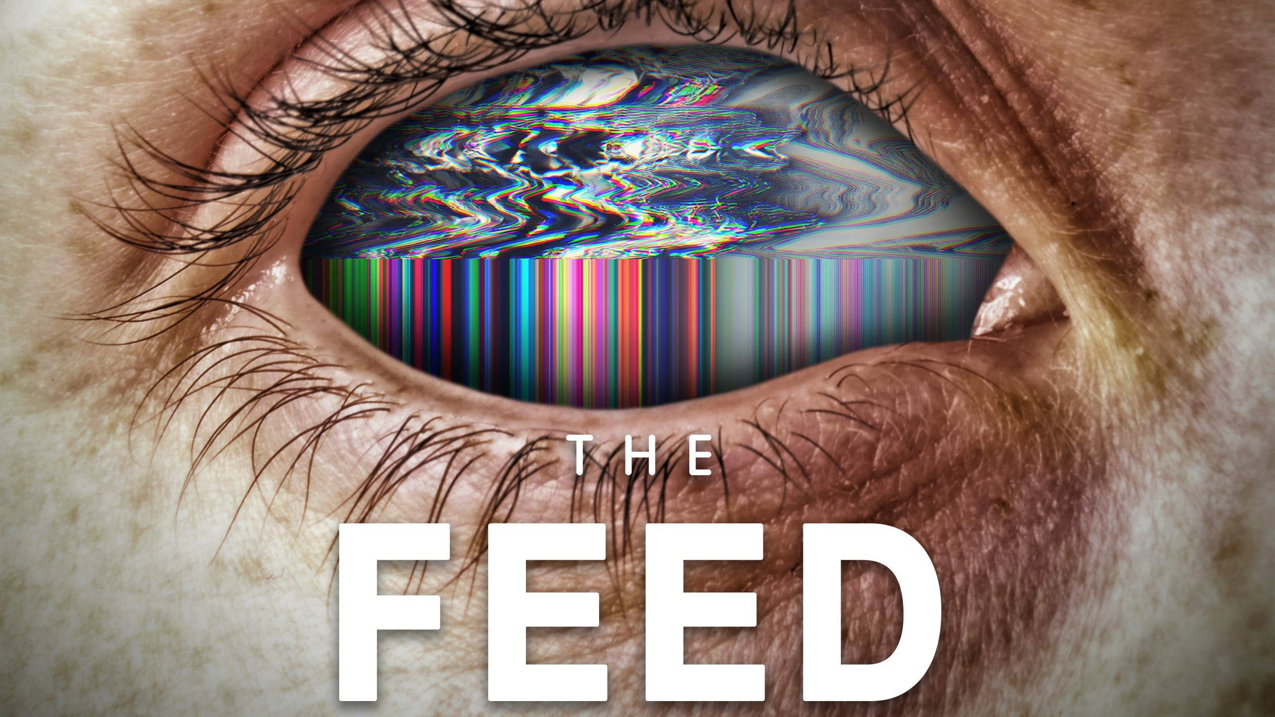 The Feed