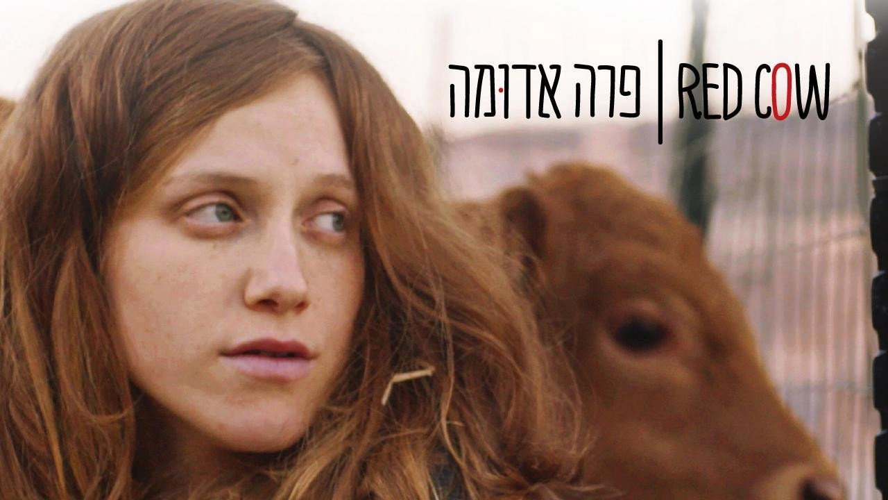 Red Cow
