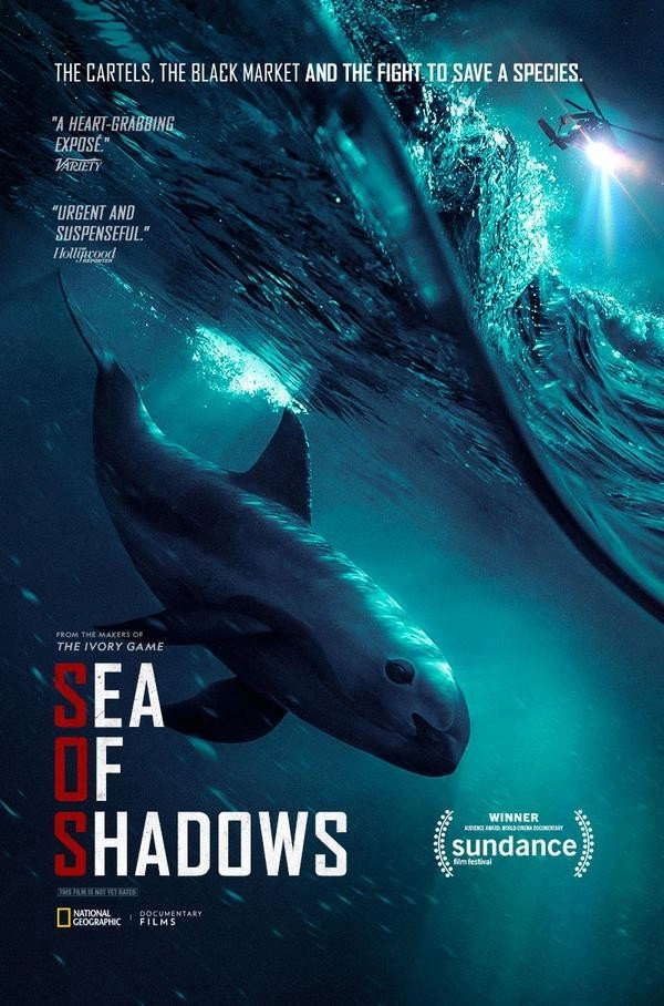Sea of Shadows