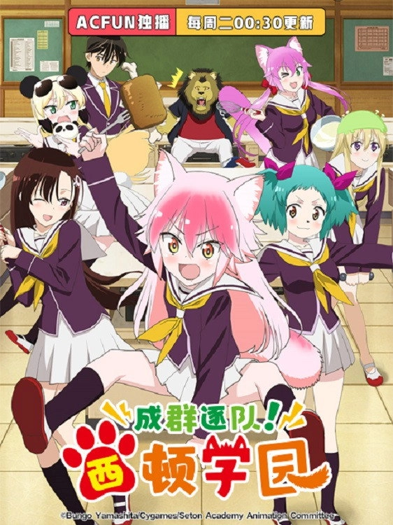 Seton Academy: Join the Pack!