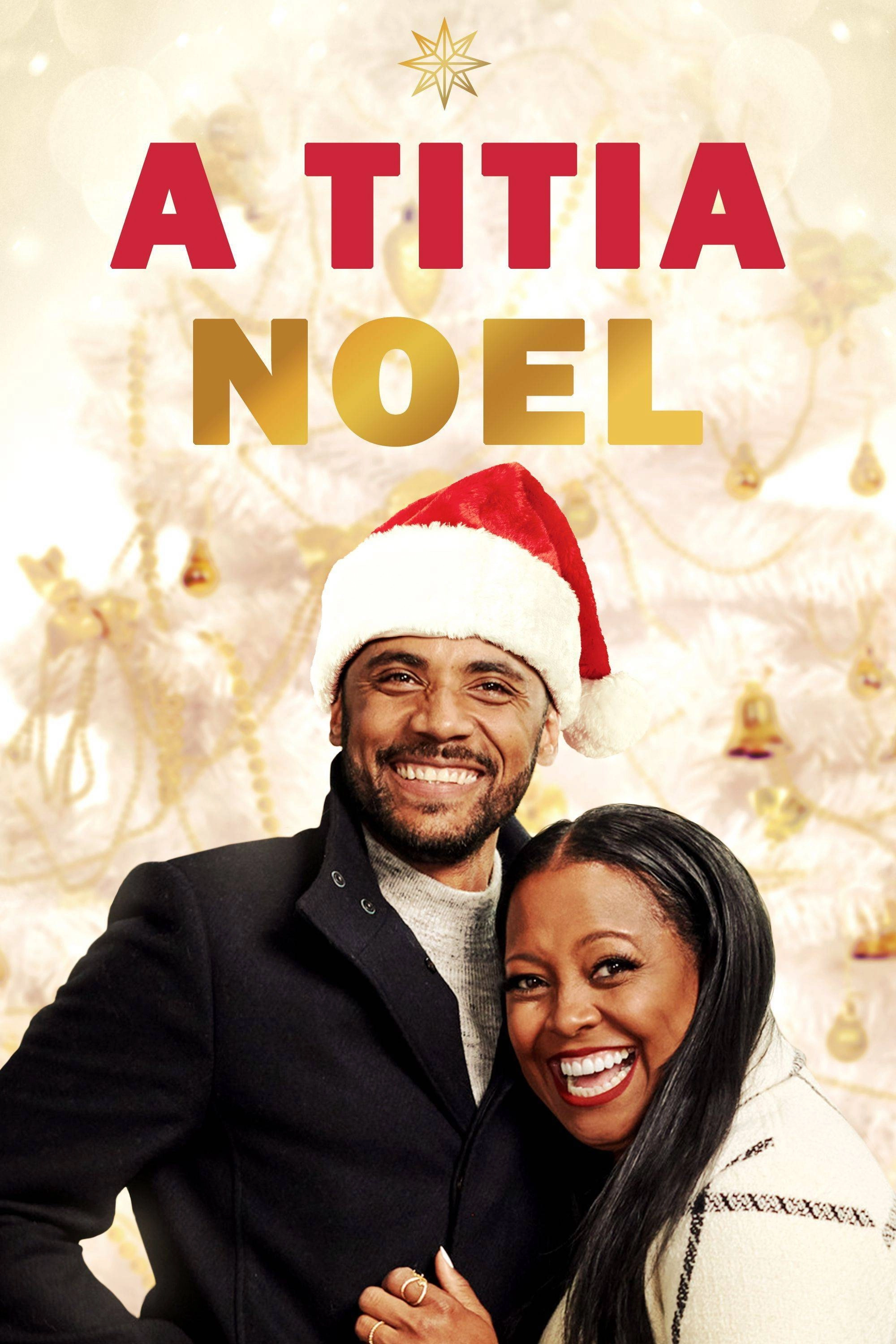 The Christmas Aunt