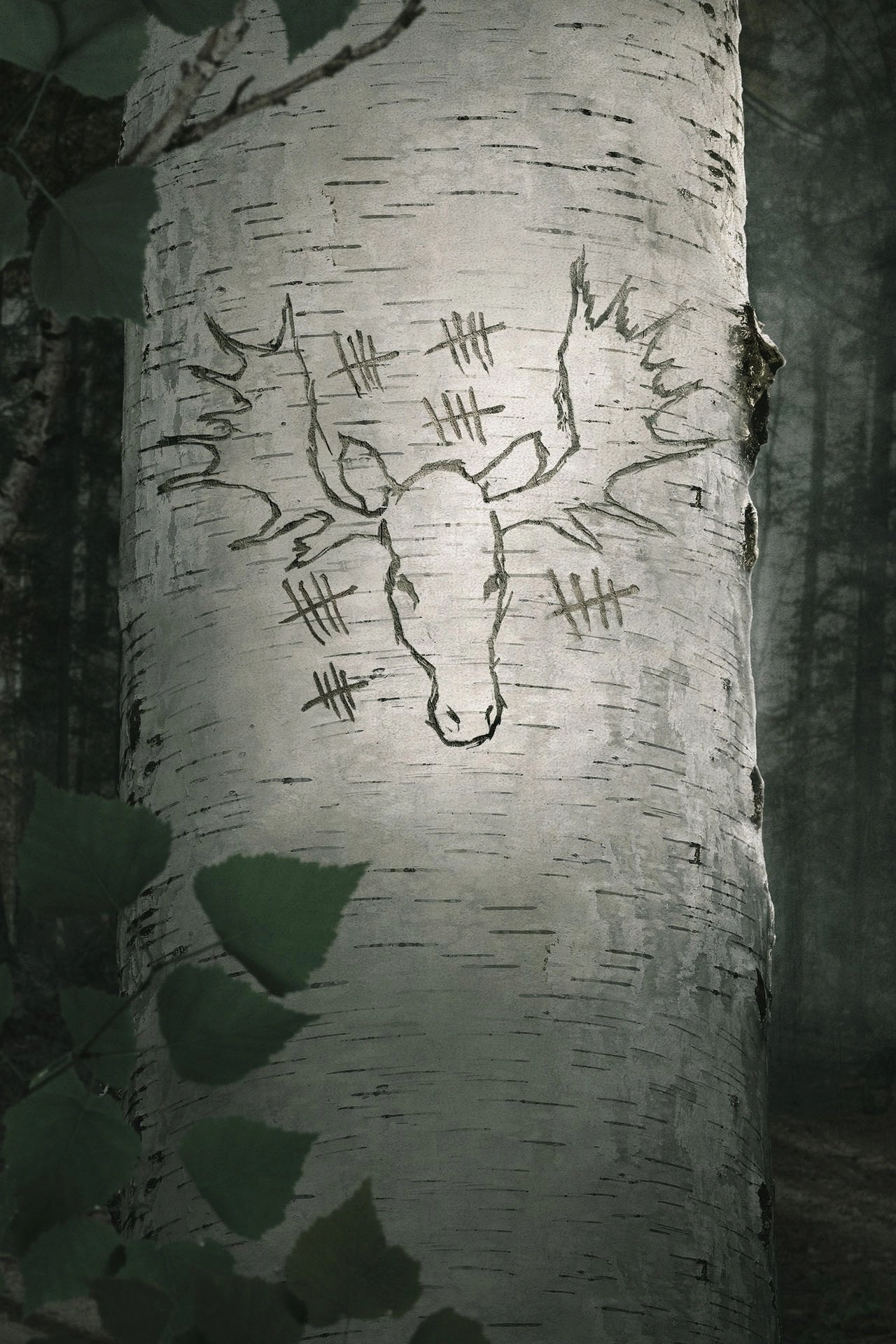 A New Life