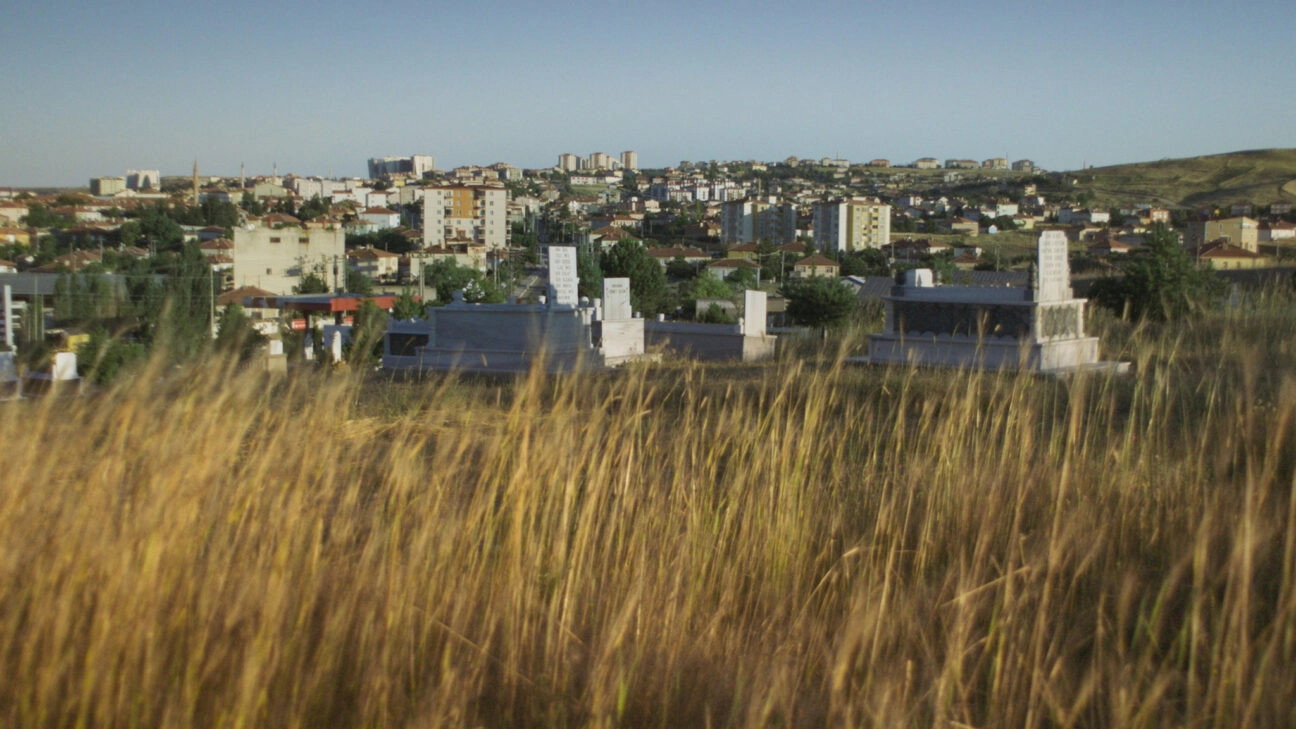 2m²