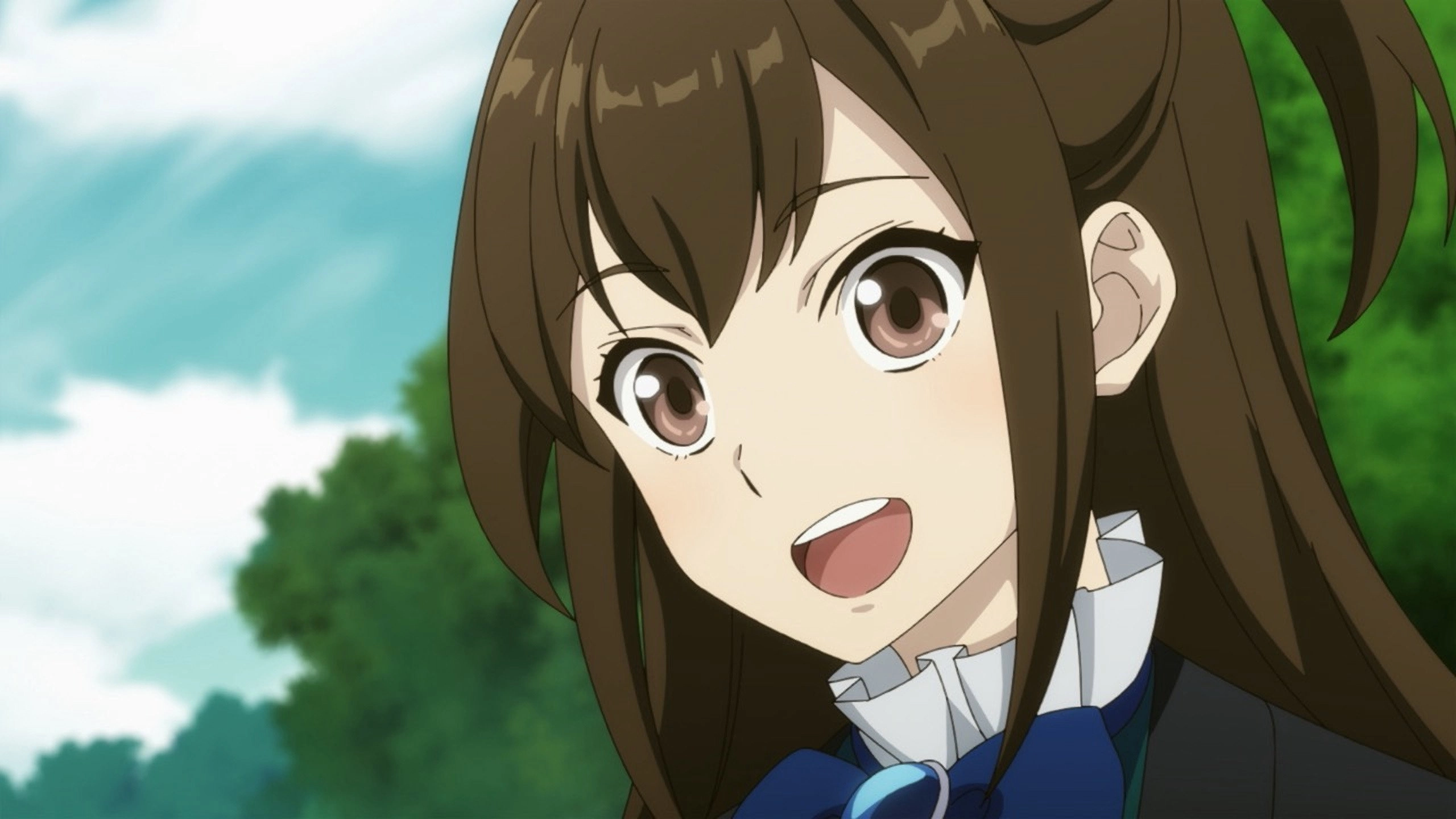 The Rising of the Shield Hero