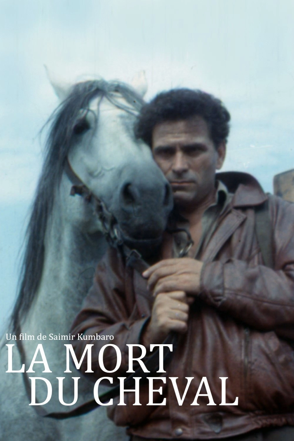 The Death of a Horse