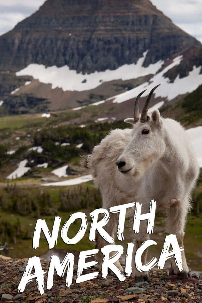 North America