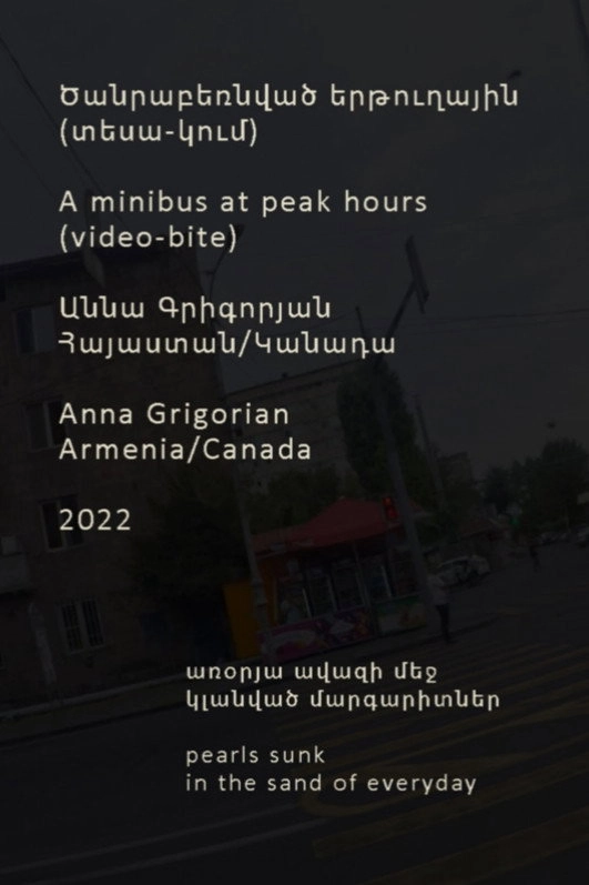 Minibus at Peak Hours