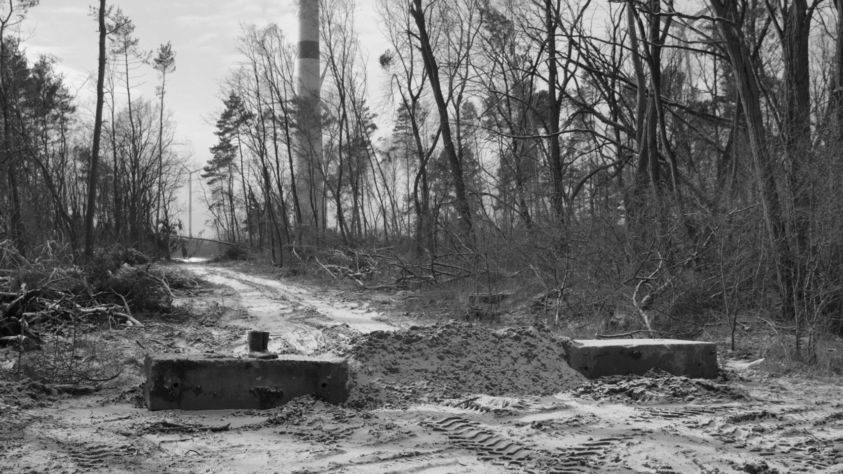 Heimat Is a Space in Time
