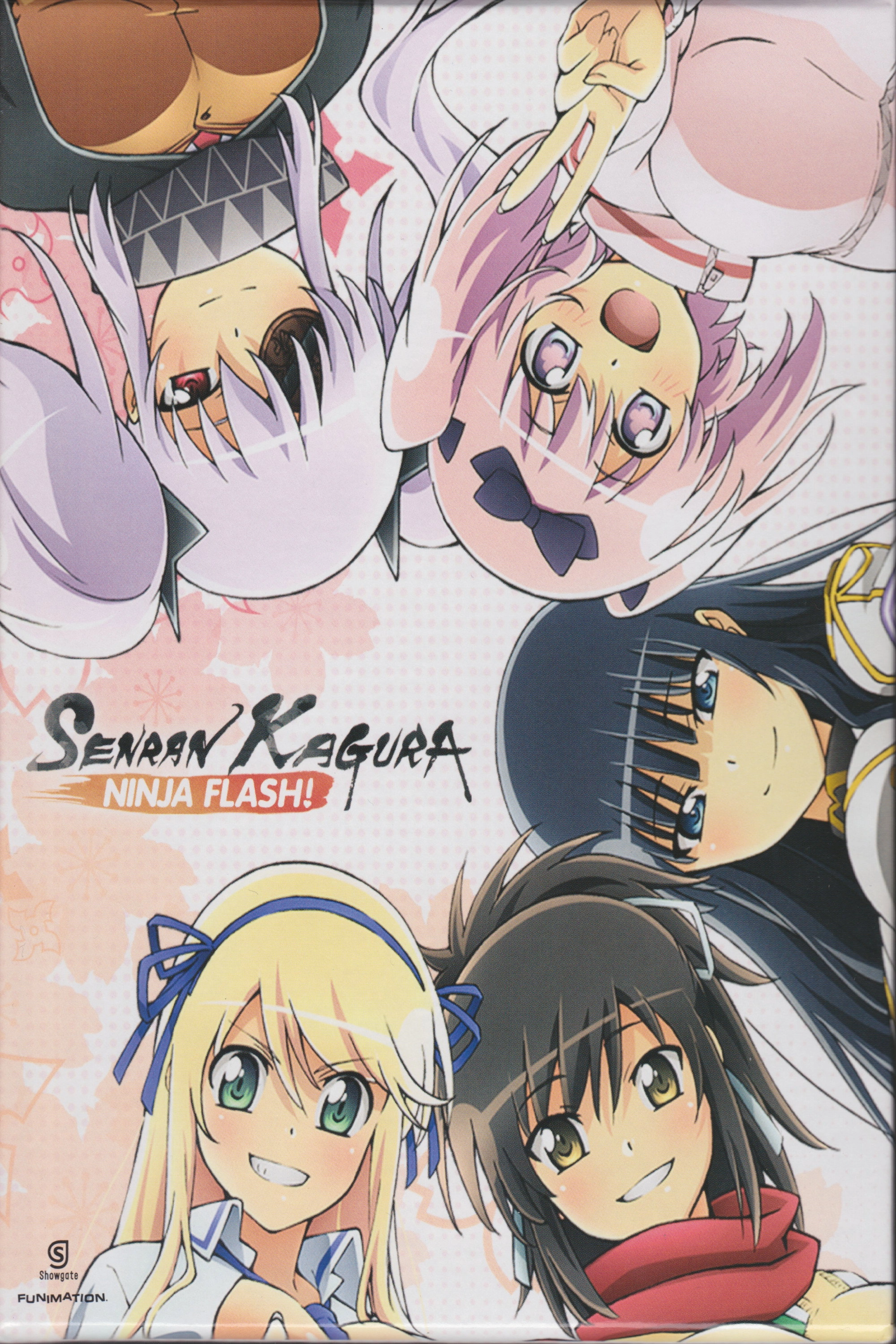 Senran Kagura: Ninja Flash