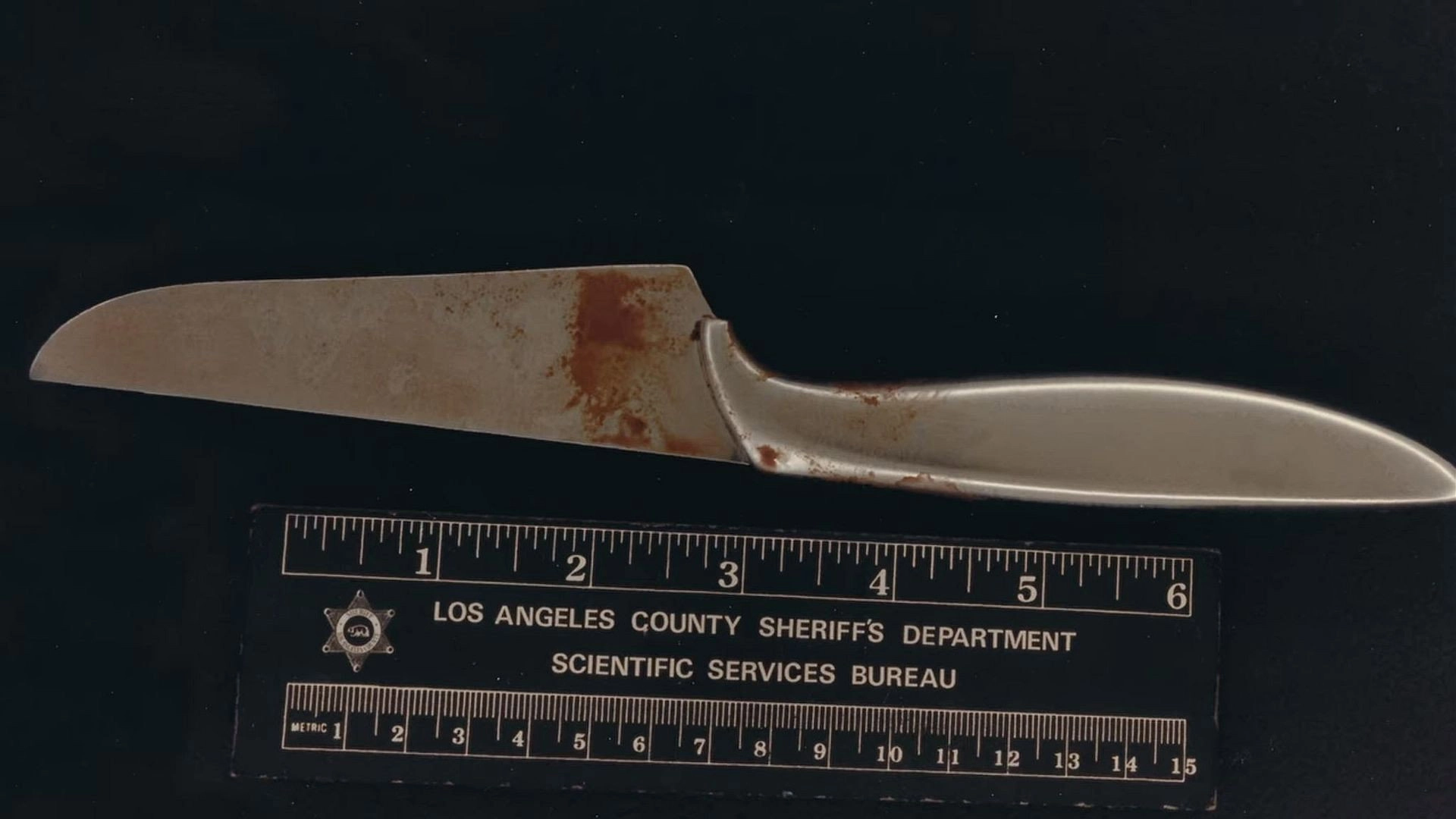 Night Stalker: The Hunt for a Serial Killer