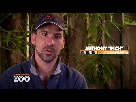 Une saison au zoo