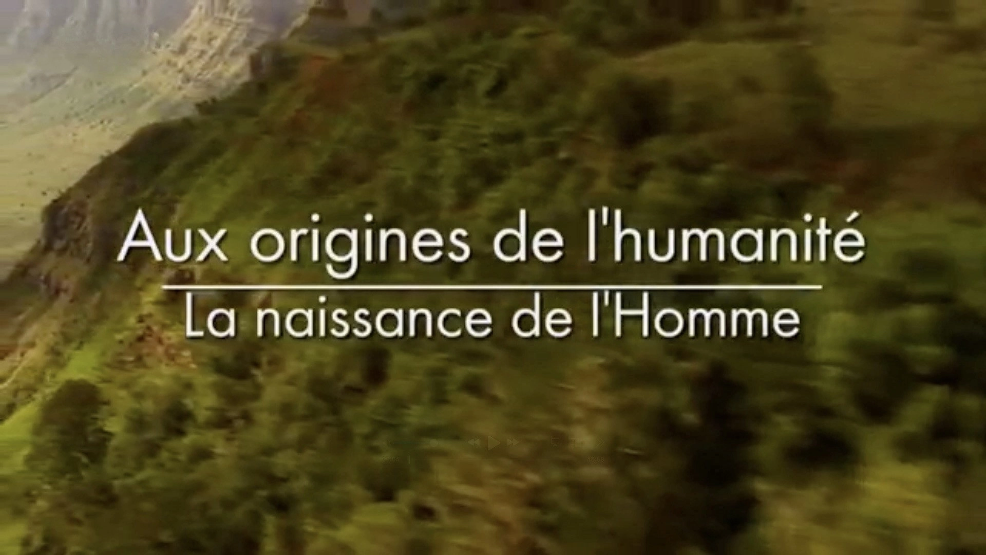 Aux origines de l'humanité