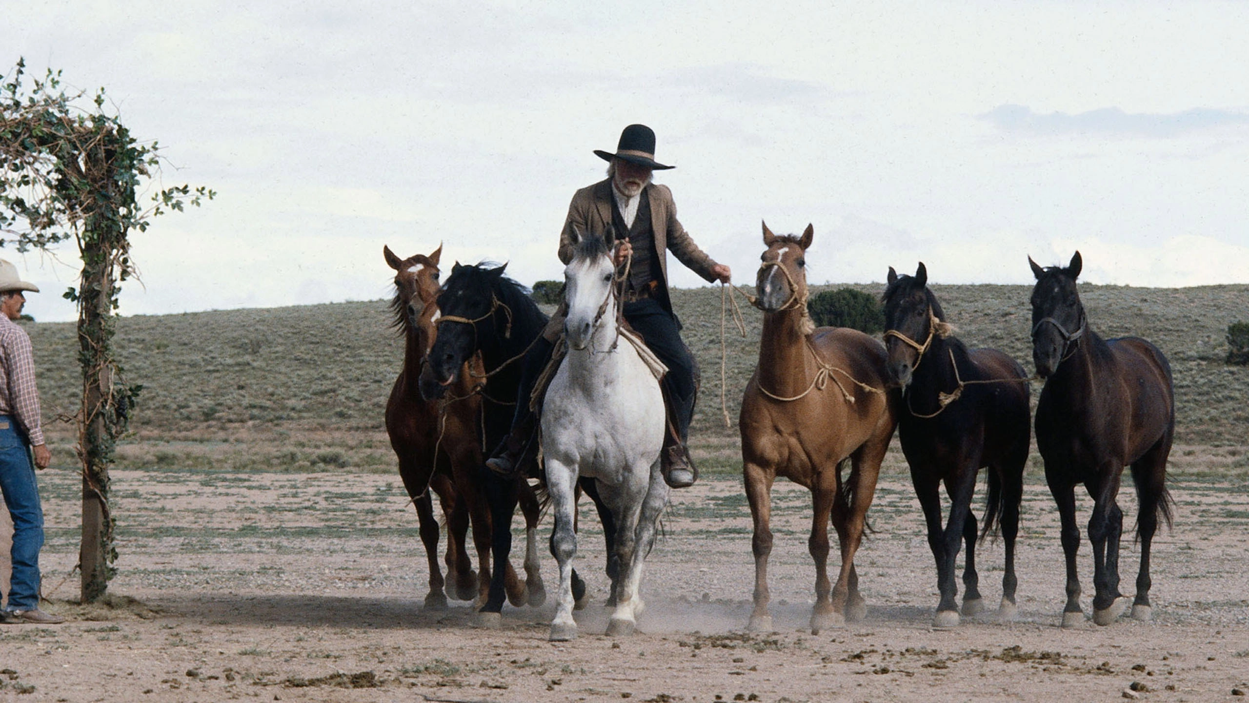 Lonesome Dove