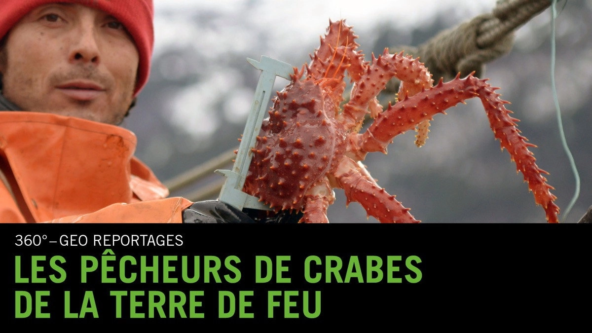 360° Reportage