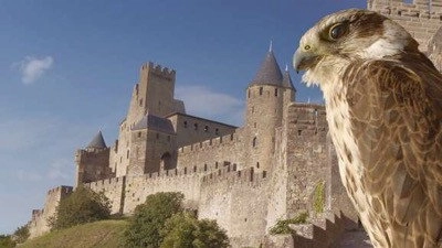 Wild Castles