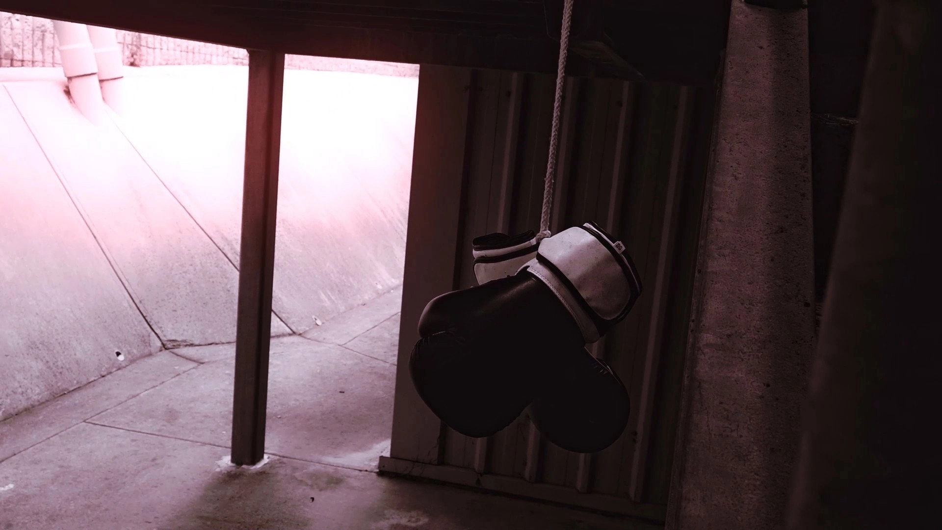 Trapped In Sight