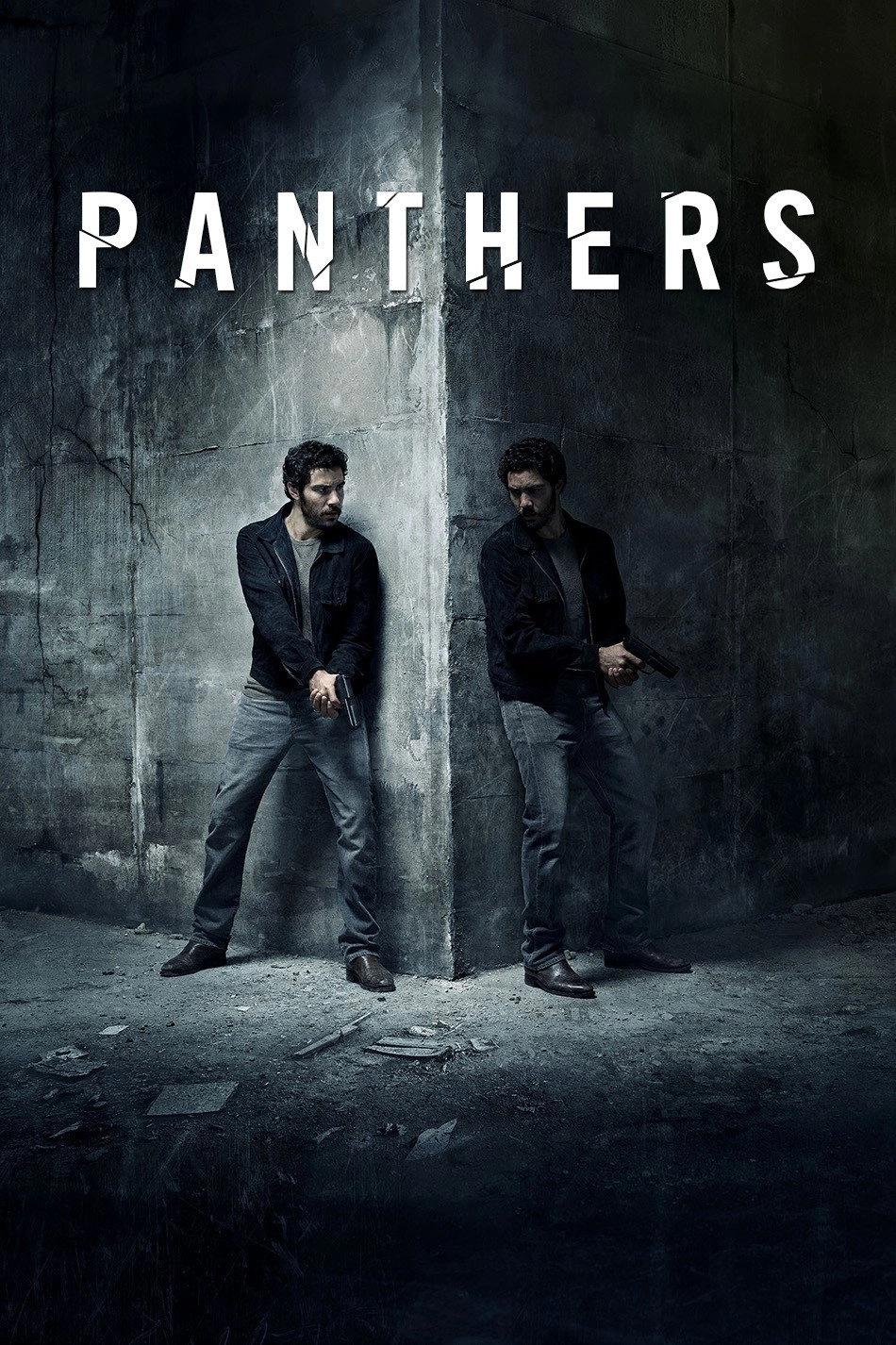 The Last Panthers