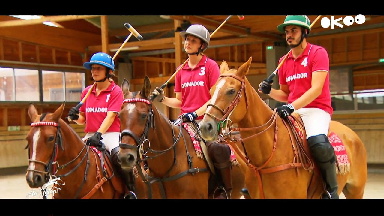 Au galop ! une saison à cheval