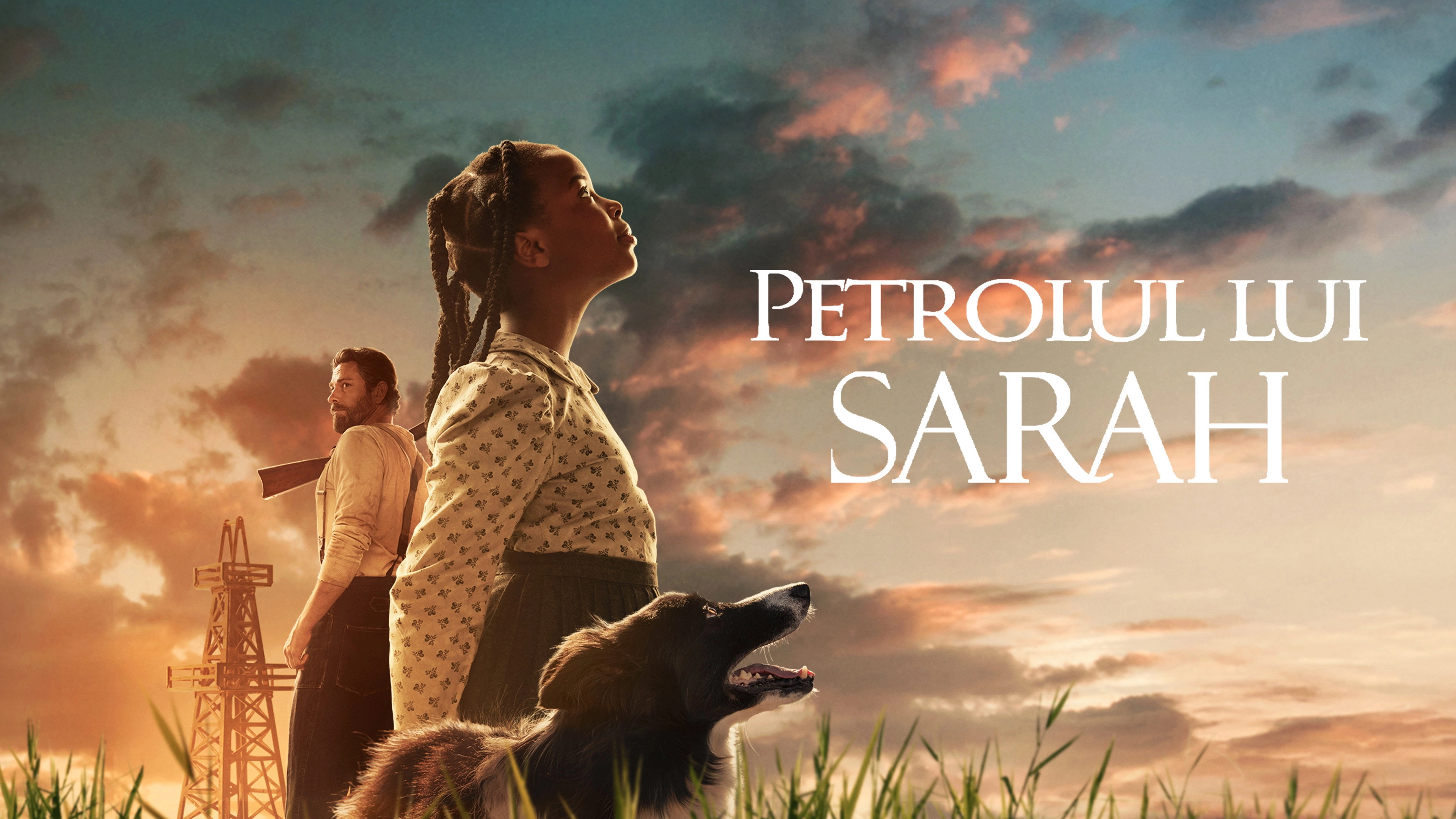 Sarah's Oil