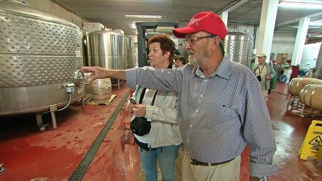 Verrückt nach Meer -  Vom Wasser aus die Welt entdecken