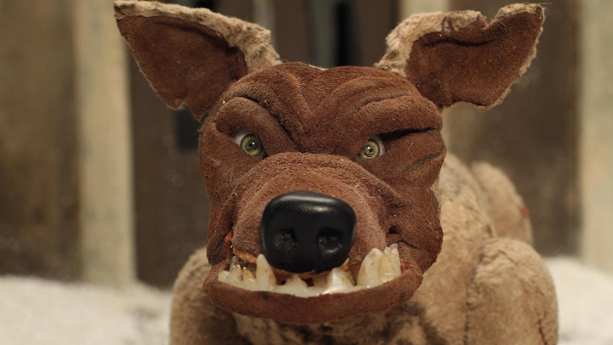 Laika